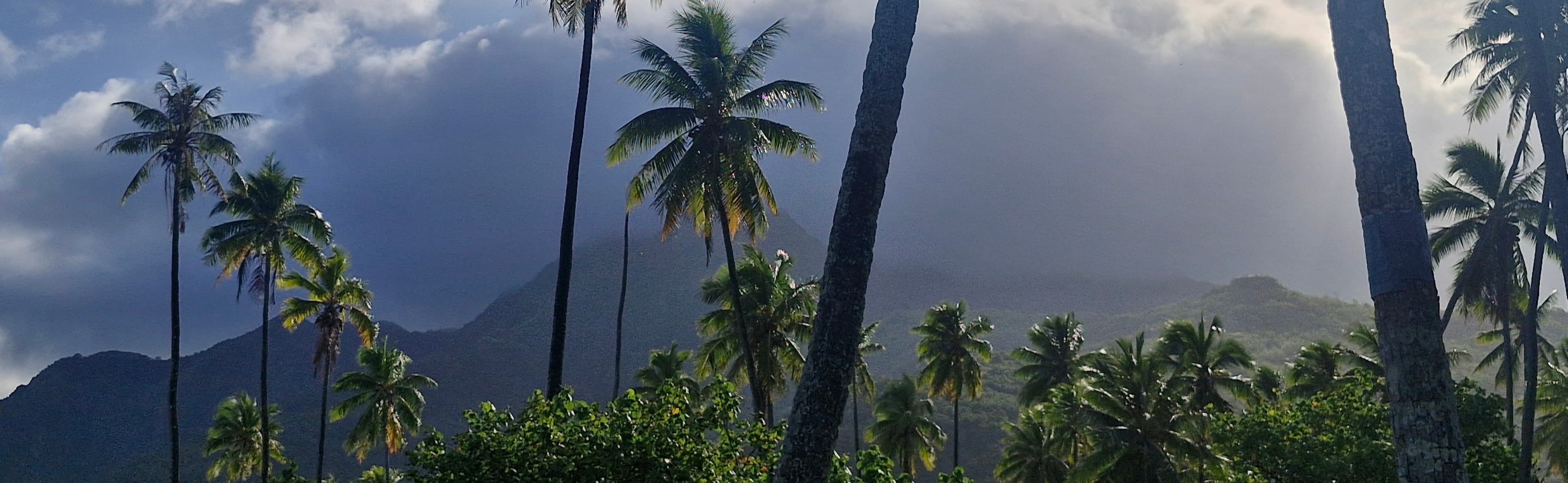 Panorama — JUA Tahiti