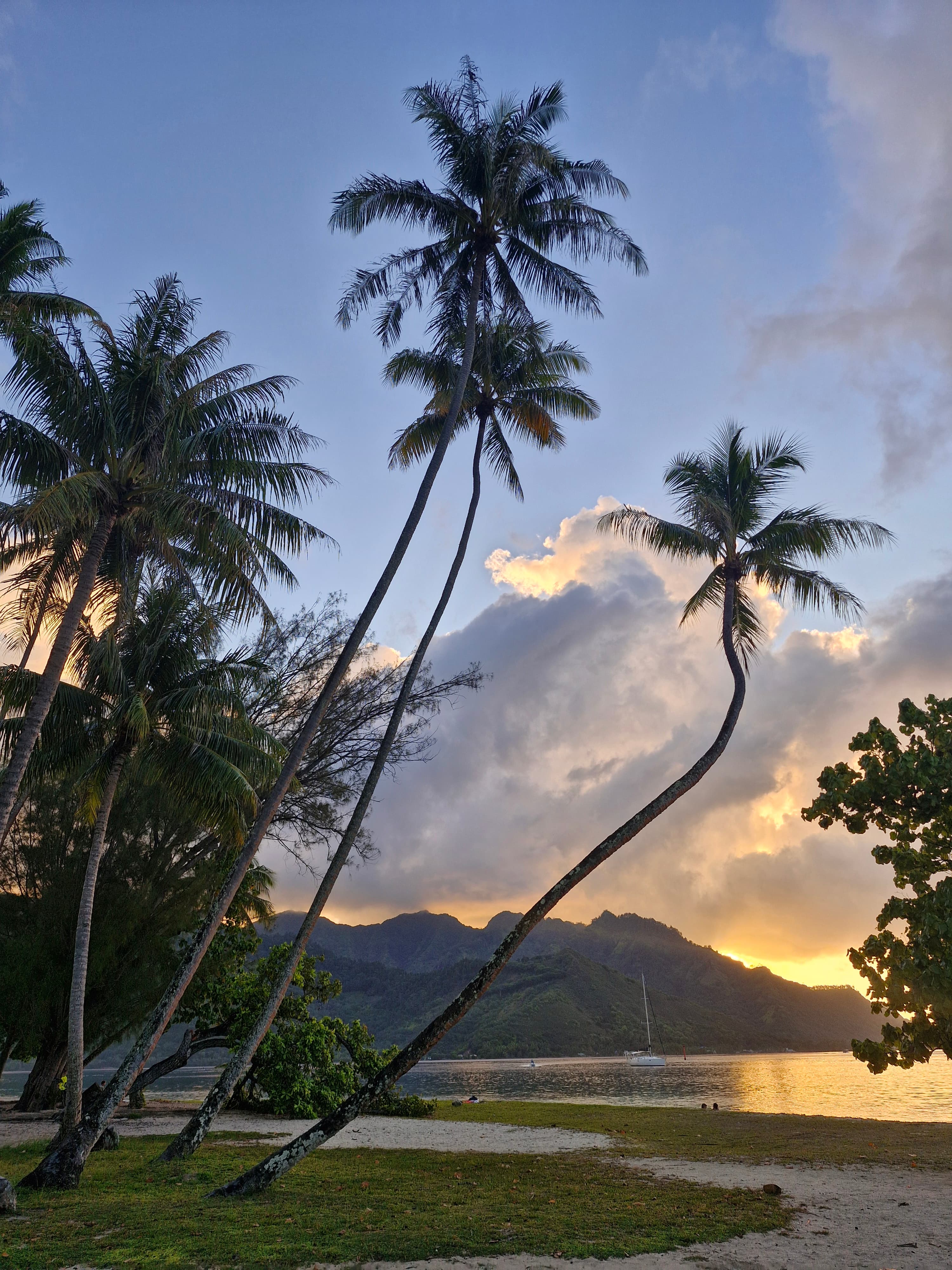 Sunset au bar